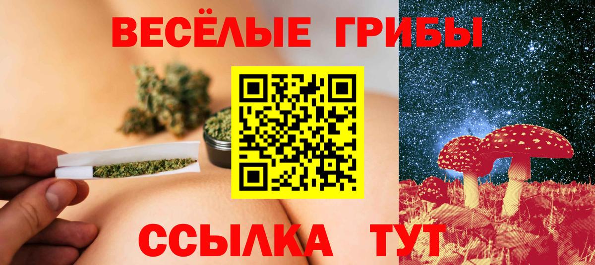 Галлюциногенные грибы прущие грибы Благодарный