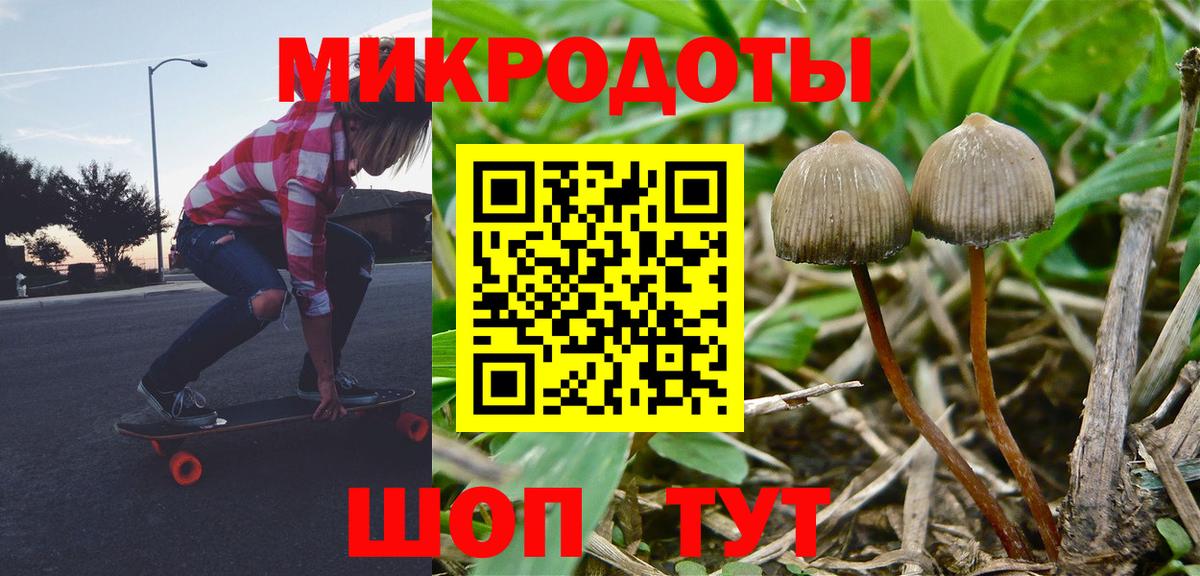 Псилоцибиновые грибы Psilocybine cubensis  Вход с VPN  Благодарный  Псилоцибиновые грибы мухоморы 